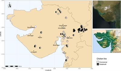 Chicken caecal enterotypes in indigenous Kadaknath and commercial Cobb chicken lines are associated with Campylobacter abundance and influenced by farming practices